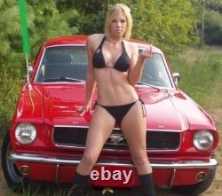 1964 Mustang Ford 112 LARGE SCALE TIN Metal24GT Race1965Car18Hot Rod1969RED1967