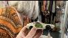 Who S Buys Vintage Toy Cars U0026 Why